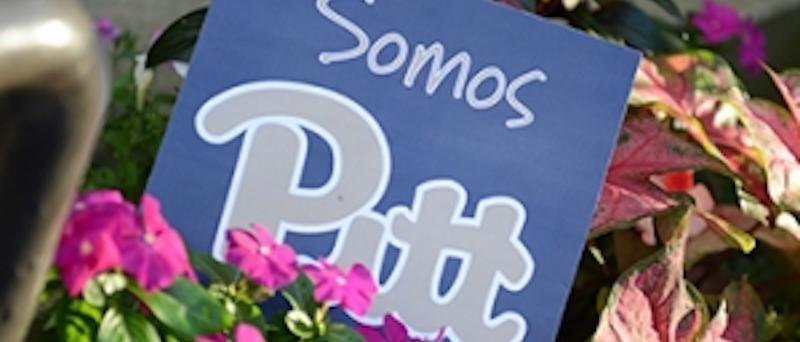 Somos Pitt