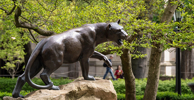 Pitt Panther